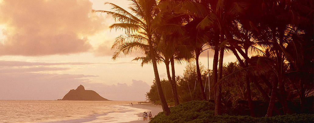 mission viejo yogurtland California California's ServSafe SafeStaff  Provider